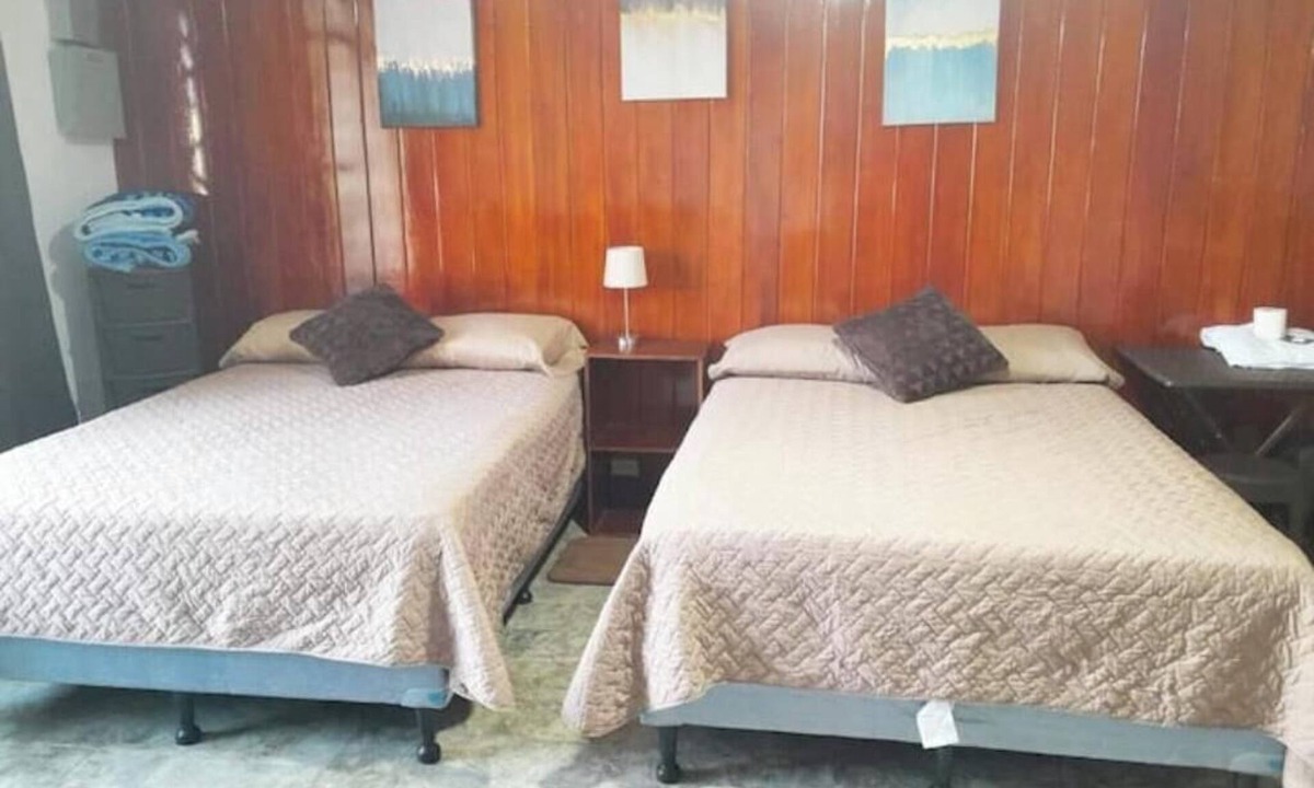 Zona 5 Apartment | 1 Comfy Dual: Convenience & Comfort Galore & 2 Nice and comfortable central apt