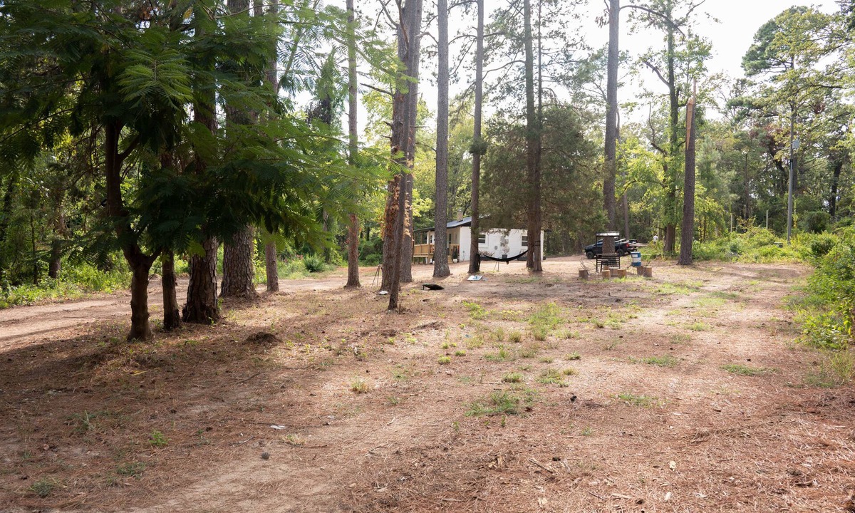 Winnsboro House | A charming quirky retreat nestled amidst the beauty of many majestic trees.