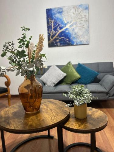 Leon Apartment | Acogedor y céntrico Departamento