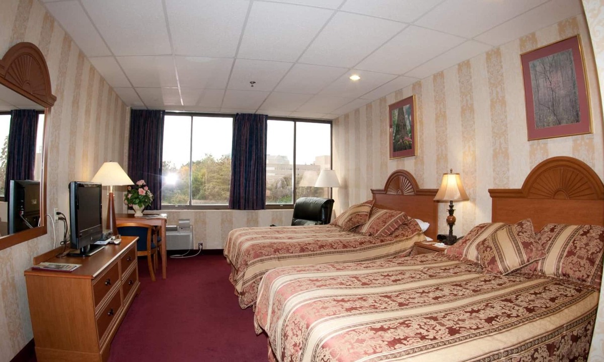 Downtown Hotel | Amsterdam Hotel