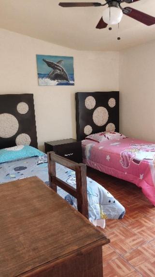 El Alamo Apartment | ApartADE