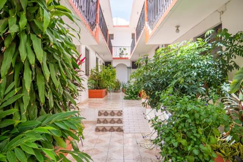 Puerto Escondido Hotel | Arena Surf Hotel, Puerto Escondido