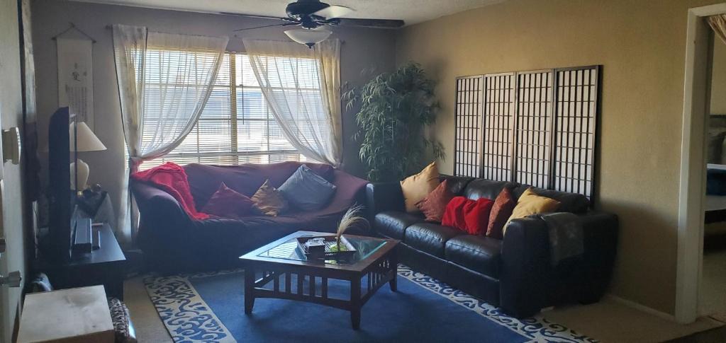 North Shoal Creek House | Austin Home Stay