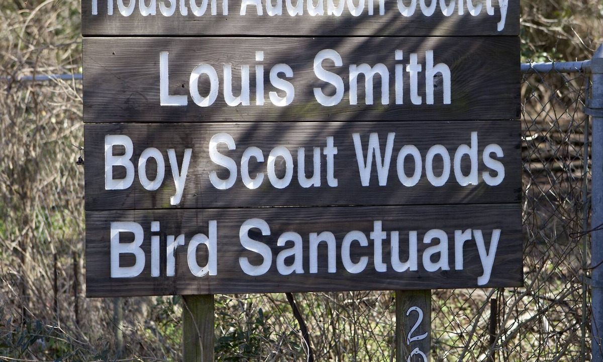 Port Bolivar House | Beach and Bird Watcher Paradise Shasta Camper in High Island