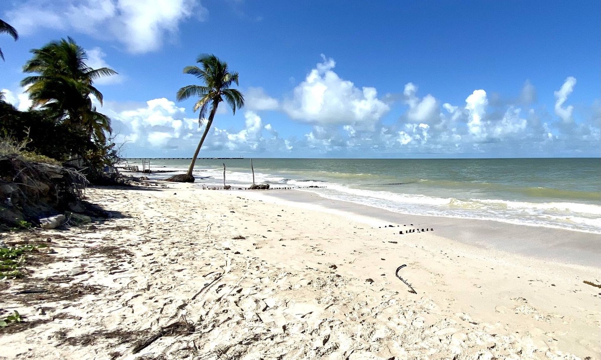 Chuburna Puerto Villa | Beachside Bliss in Chuburna: Modern, Pool & Local Culture-Your Perfect Escape!
