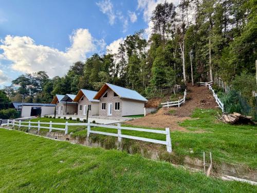 Aguacatan Cabin | Bungalós Bosque Selah