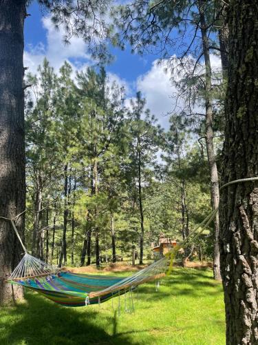 Tapalpa Villa | Cabaña Amaia en Tapalpa Jalisco