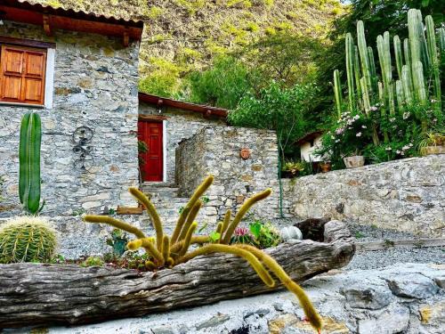 Metztitlan House | Cabañas Rincón Metztitlán