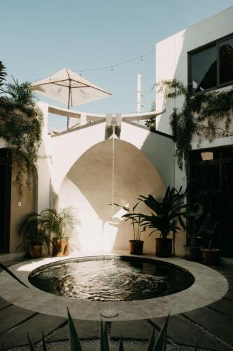 El Paredon Hostel | Caracola Boutique Hostel