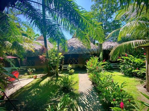 Puerto Barrios Hostel | Casa de la Iguana