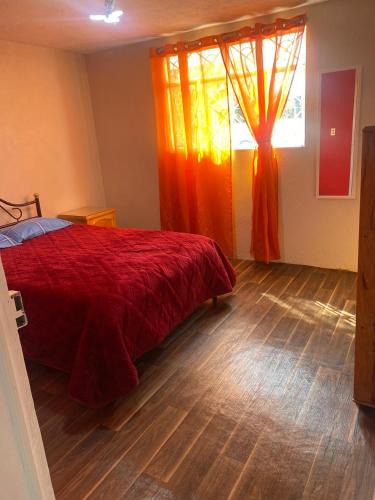 Mineral de Angangueo Apartment | Casa Ecológica Angangueo