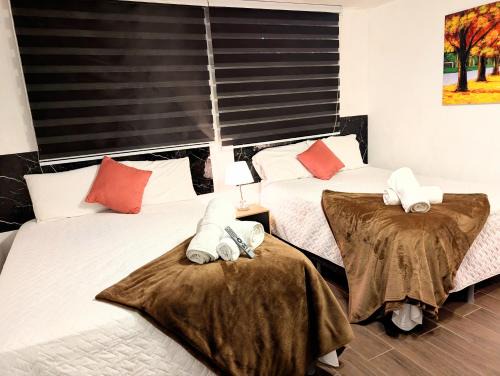 Zona 12 House | Casa Gardenia