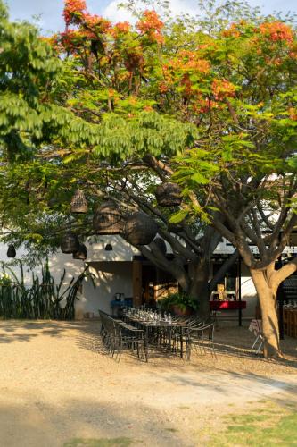 Teotitlan del Valle Bed & Breakfast | Casa Gulal