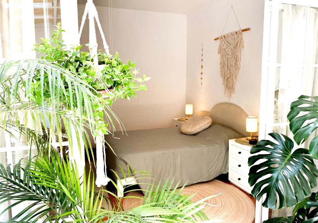 Zona Centro House | Casa Hri