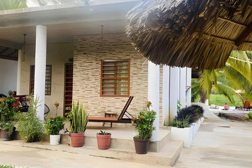 Saladita Resort | Casa Las Palmas Playa La Saladita
