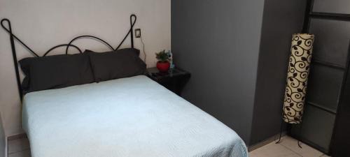 Arandas House | Casa tabachin