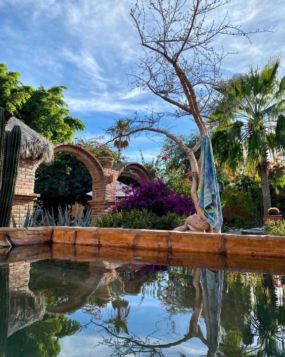 El Centenario Bed & Breakfast | Casa Xochitl