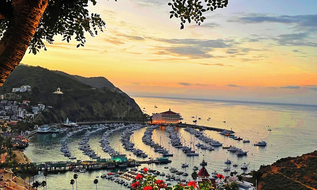 Avalon Hotel | Catalina Courtyard Suites