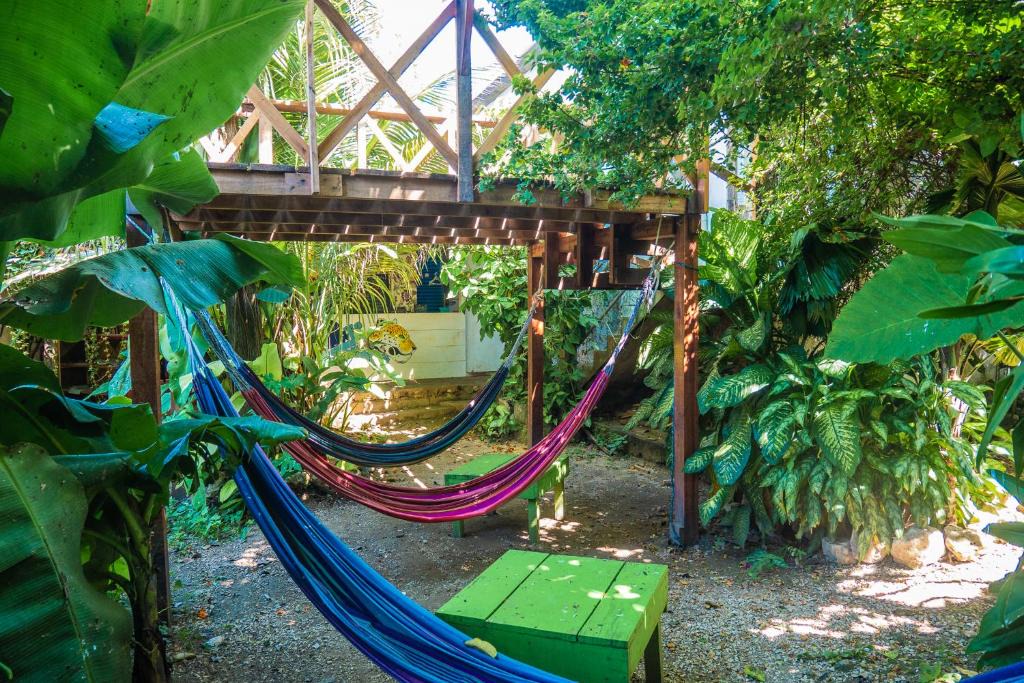 Flores Hostel | Ciao Cacao Hostel & Vegan Cafe