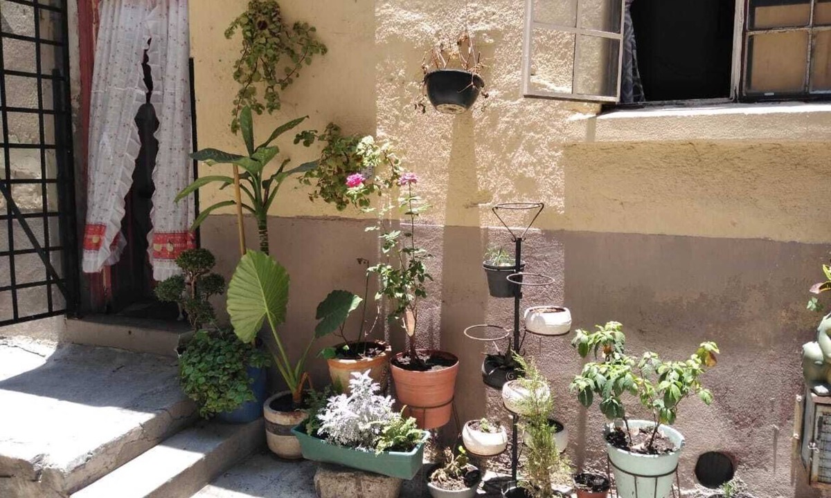 Santa Maria la Ribera House | Conociendo México (lindo y querido)