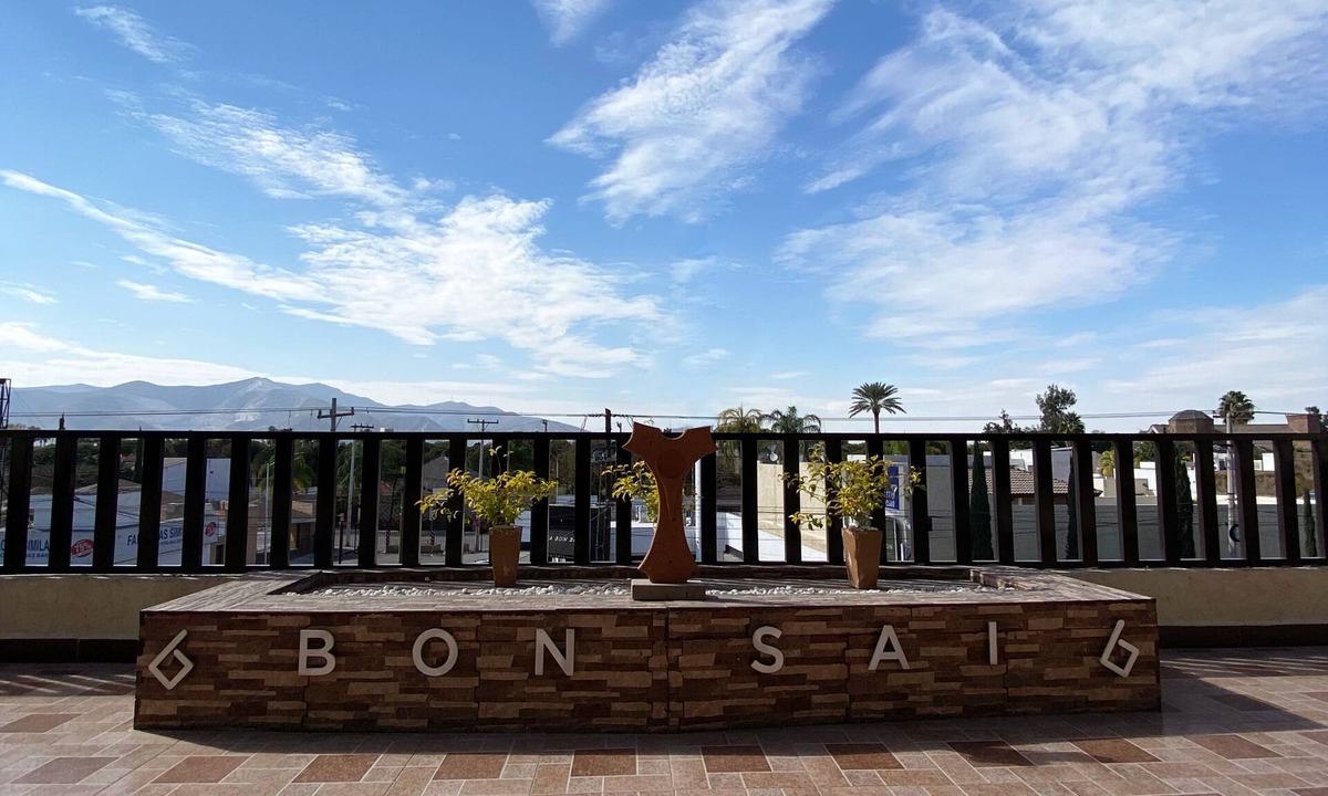 Torreon House | Departamentos Bonsai
