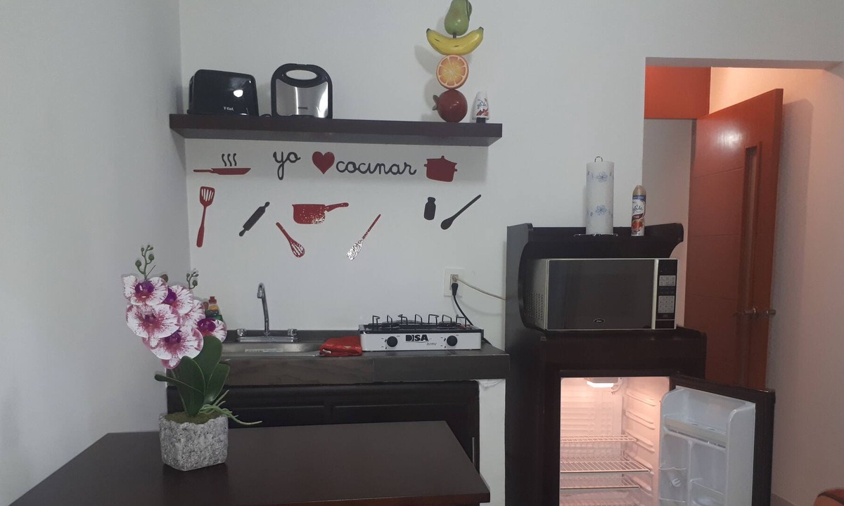 Mazatlan Apartment | DEPT # 2 JUST 10 MIN FROM THE BEACHES, MAXIMUM CAPACITY OF 4 TO 6 PEOPLE