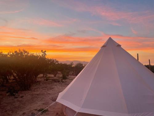 La Paz Other | Eco Glamping Biosfera - Bahia Turquesa