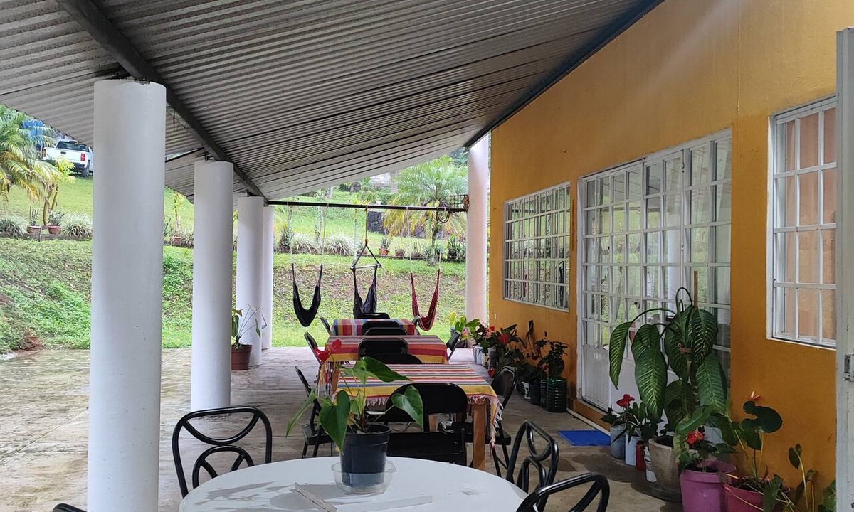Xico Hotel | el jardin de los anturios