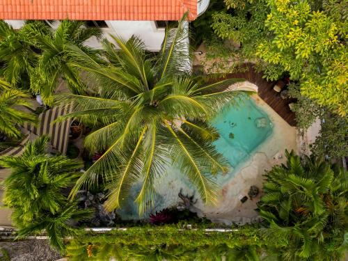 Downtown Cancun Hotel | Enigmatic Boutique Hotel