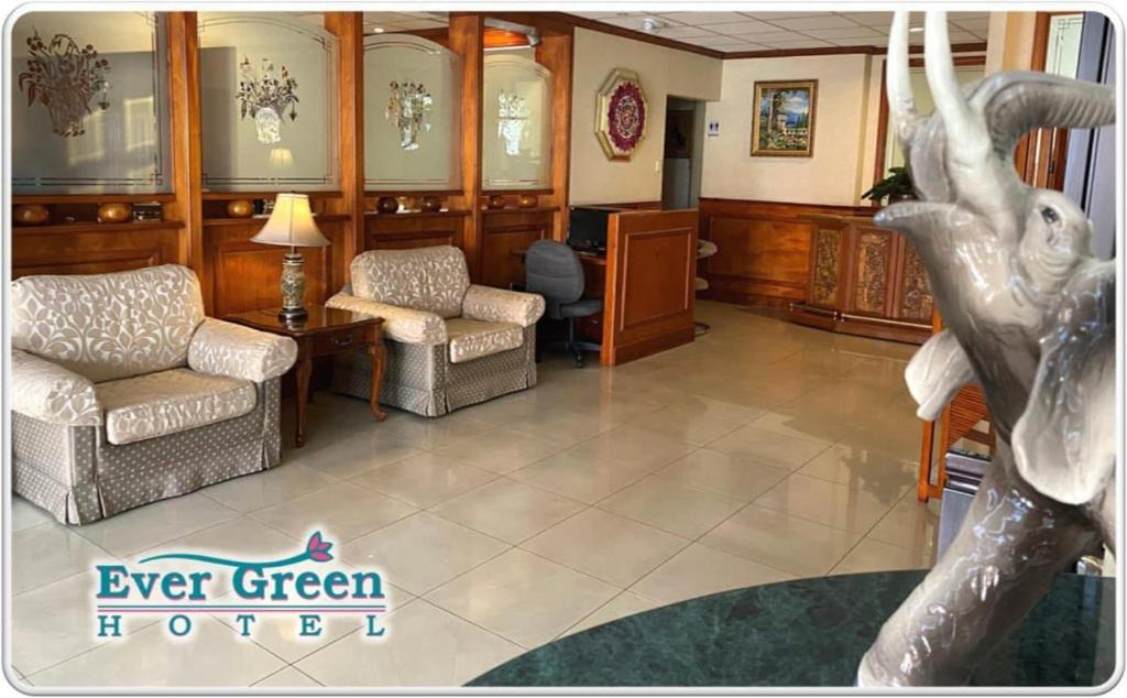 Zona 10 Hotel | Ever Green Guatemala