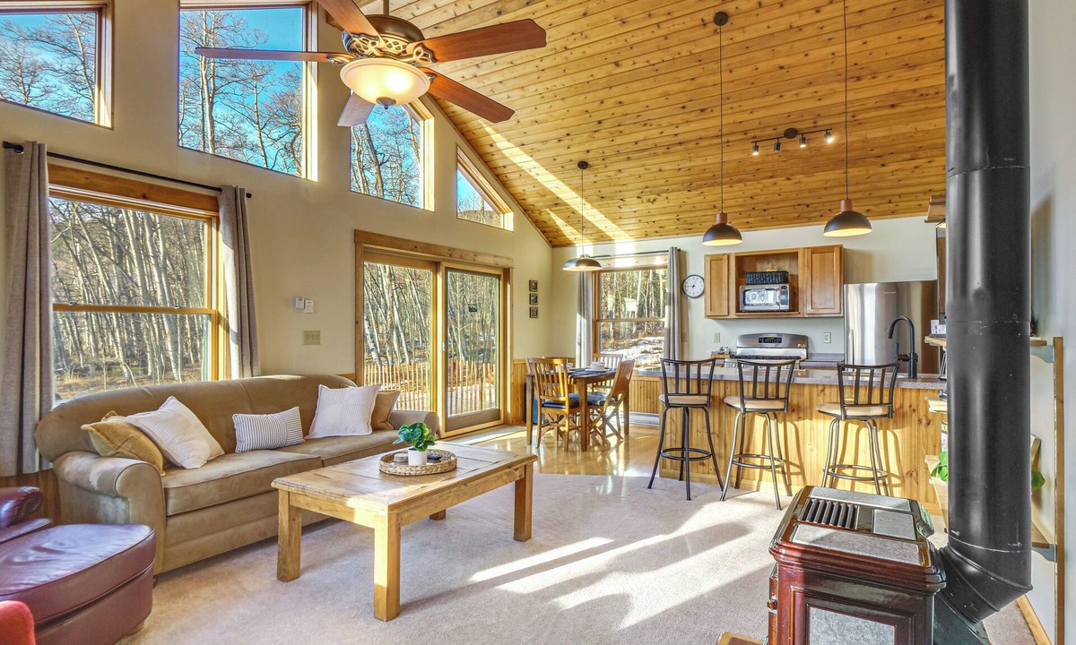 Warm Springs Cottage | Fairplay Cabin Mountain Views, Trails, Fishing