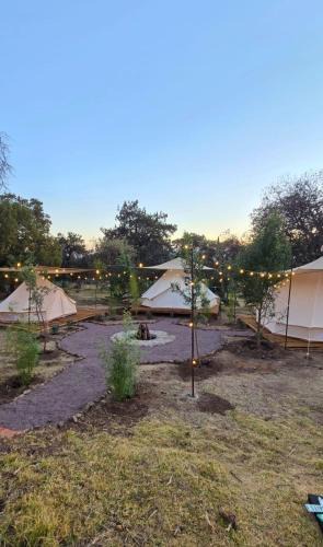 Apan Other | Finca los ciervos