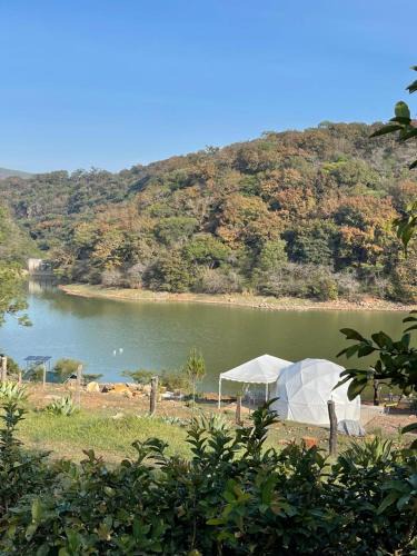 Mascota Other | Glamping Mascota