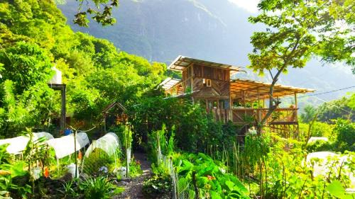 Tzununa House | Granja Tzikin