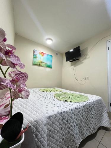 San Juan La Laguna Hotel | Hospedaje la estrella del lago