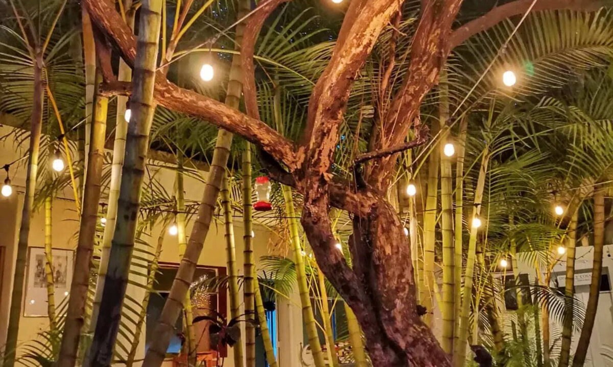 Guatemala City Historical District Hostel | Hostal Centro Cultural El Talpetate