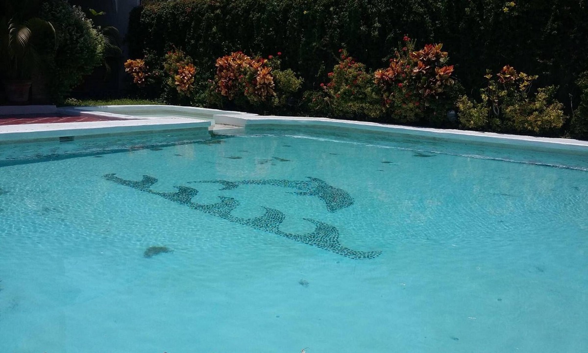 L Hotel | Hotel Balcon Gueela