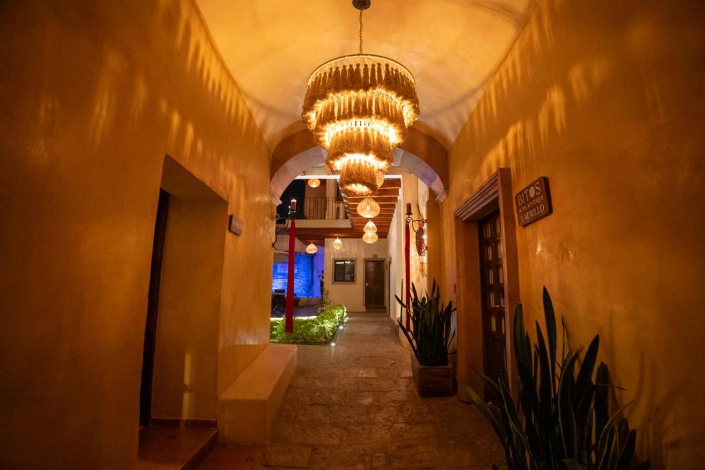 Zona Centro Hotel | Hotel Bitos Boutique