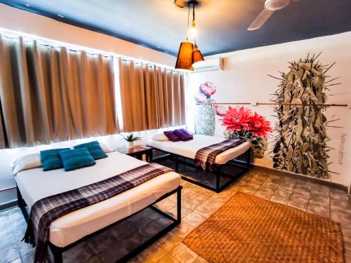 Cuatrocienegas De Carranza Hotel | Hotel Casa los Abuelos