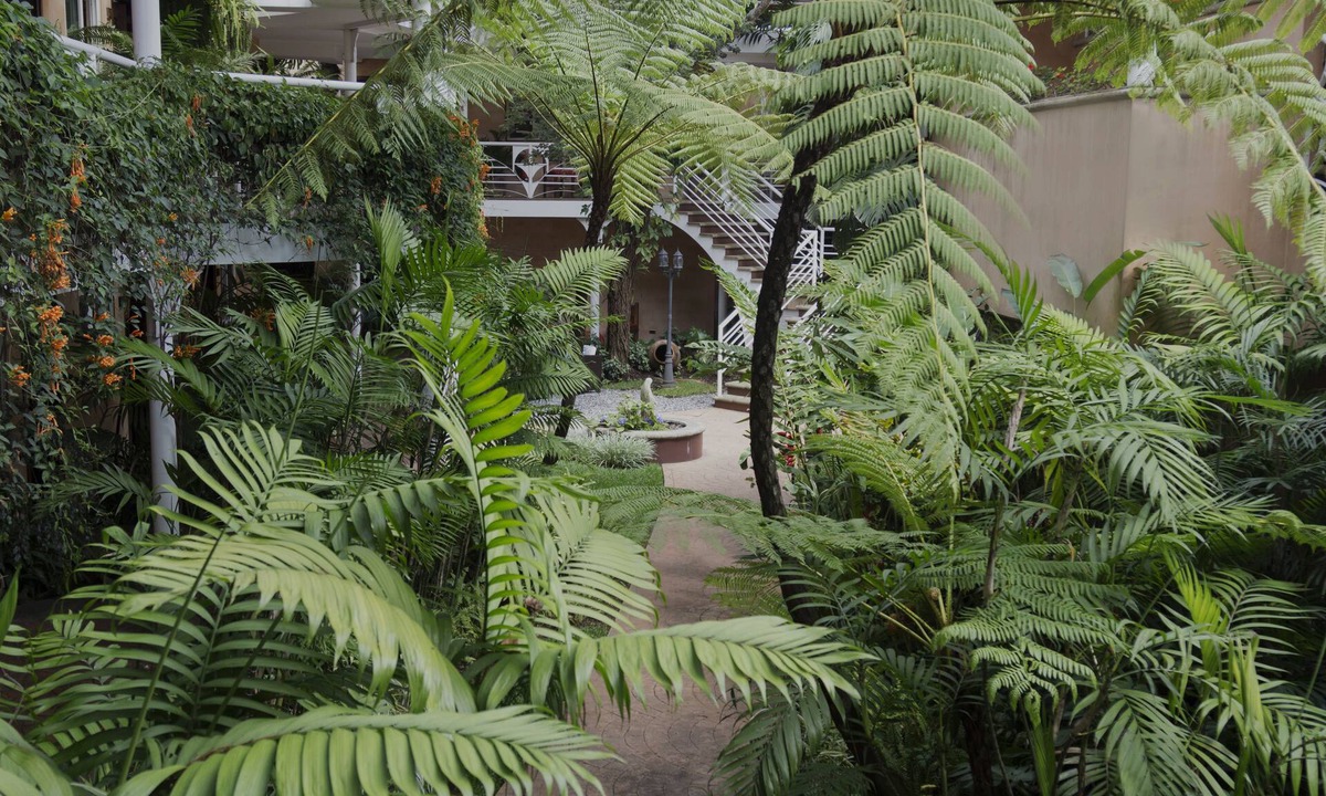 Zona 10 Hotel | Hotel Ciudad Vieja