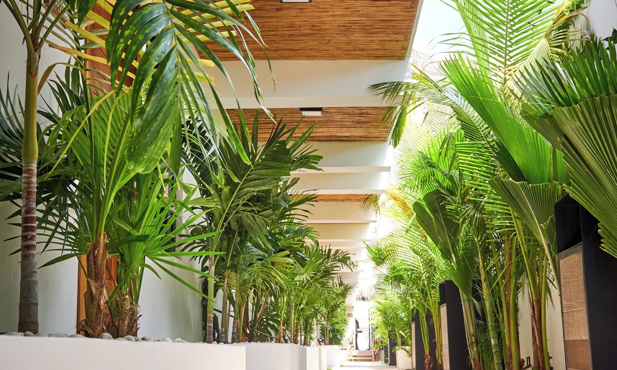 Centro Hotel | Hotel El Mejor