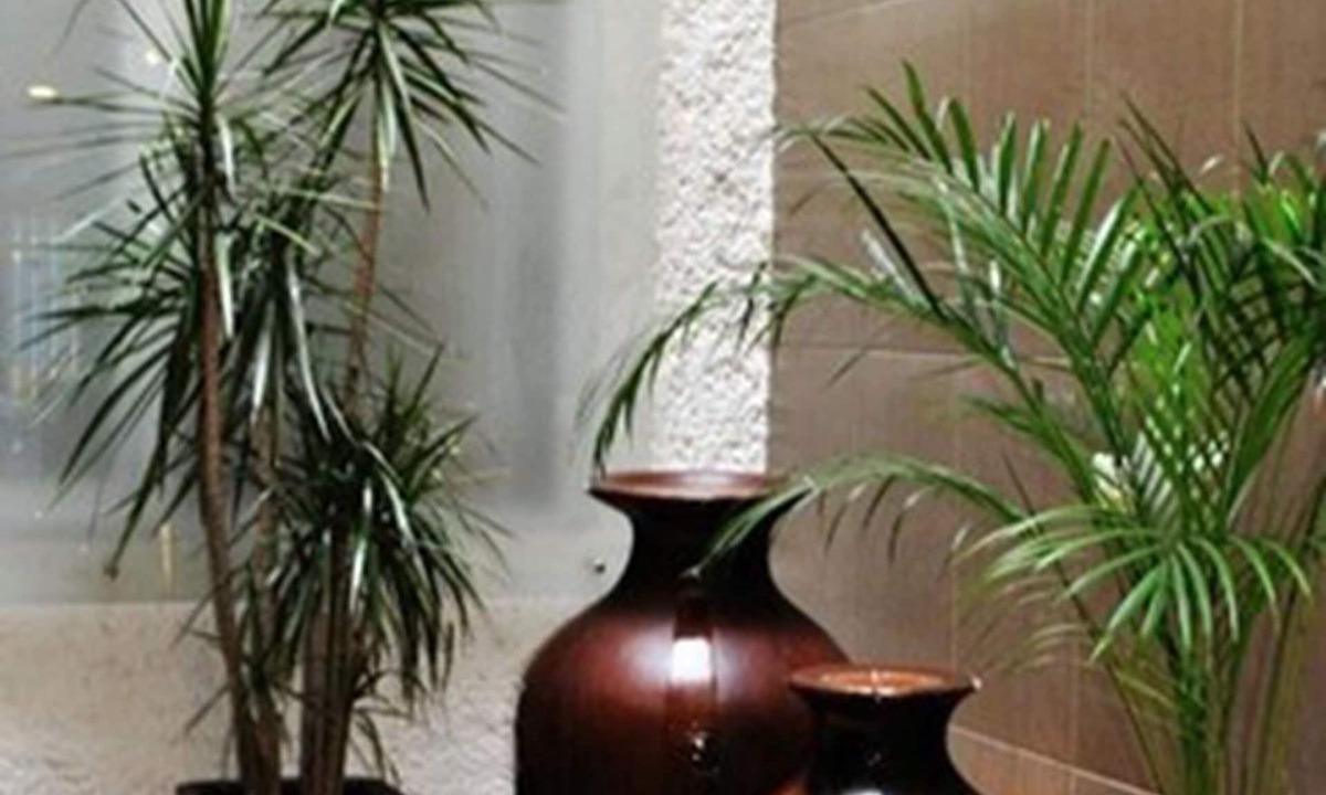 Historic Centre Hotel | Hotel Marcella Clase Ejecutiva