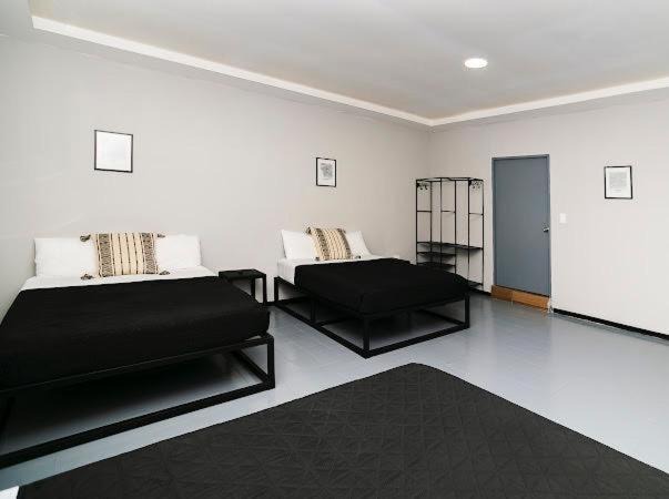 Monterrey Centro Apartment | Hotel moderno en el corazón de monterrey 6/ pax F