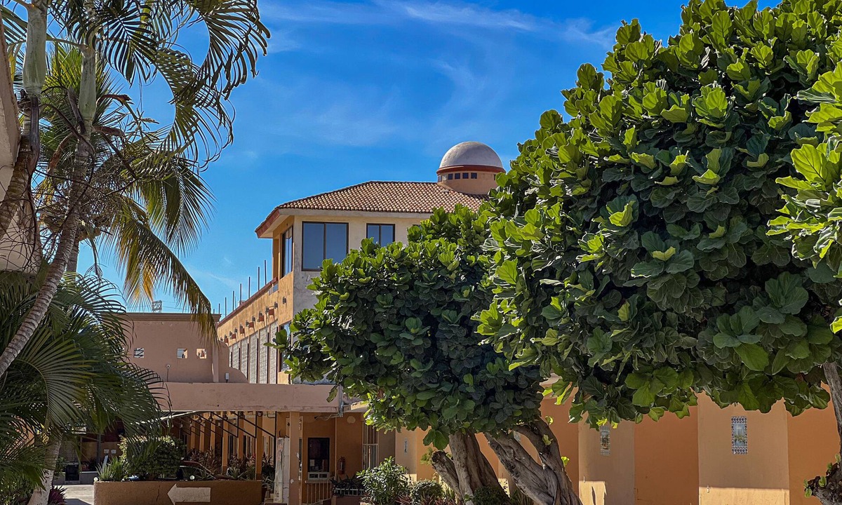 Sin Nombre Hotel | Hotel Oasis