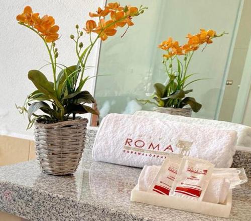 Cosamaloapan de Carpio Hotel | Hotel Roma