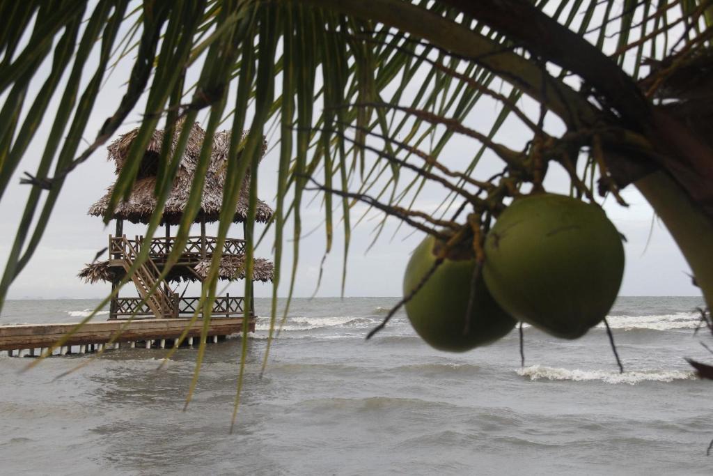 Puerto Barrios Hotel | Hotel Salvador Gaviota