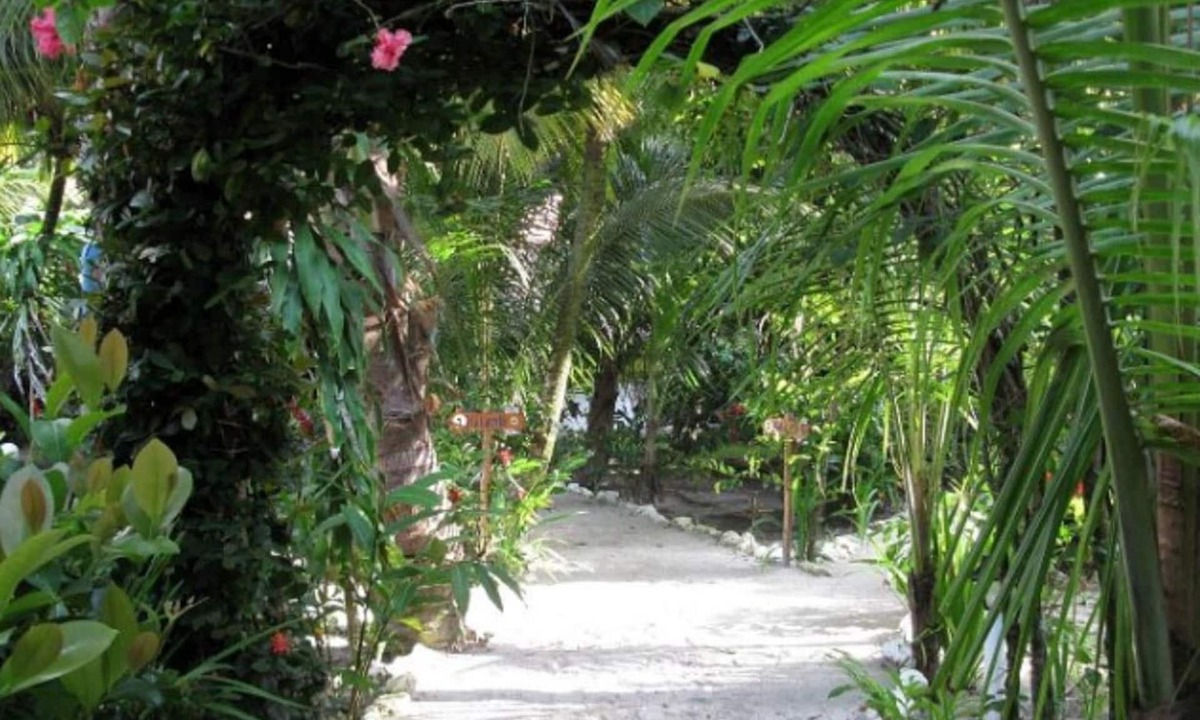 Puerto Barrios Hotel | Hotel Salvador Gaviota