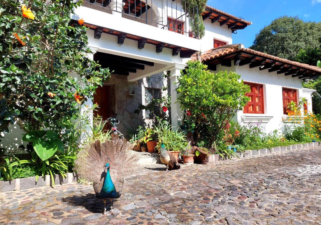 Santa Ana Hotel | Hotel y Jardines Casa Búho