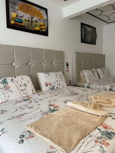 Ixtlahuaca de Rayon Hotel | Hotel y Restaurante ALDU