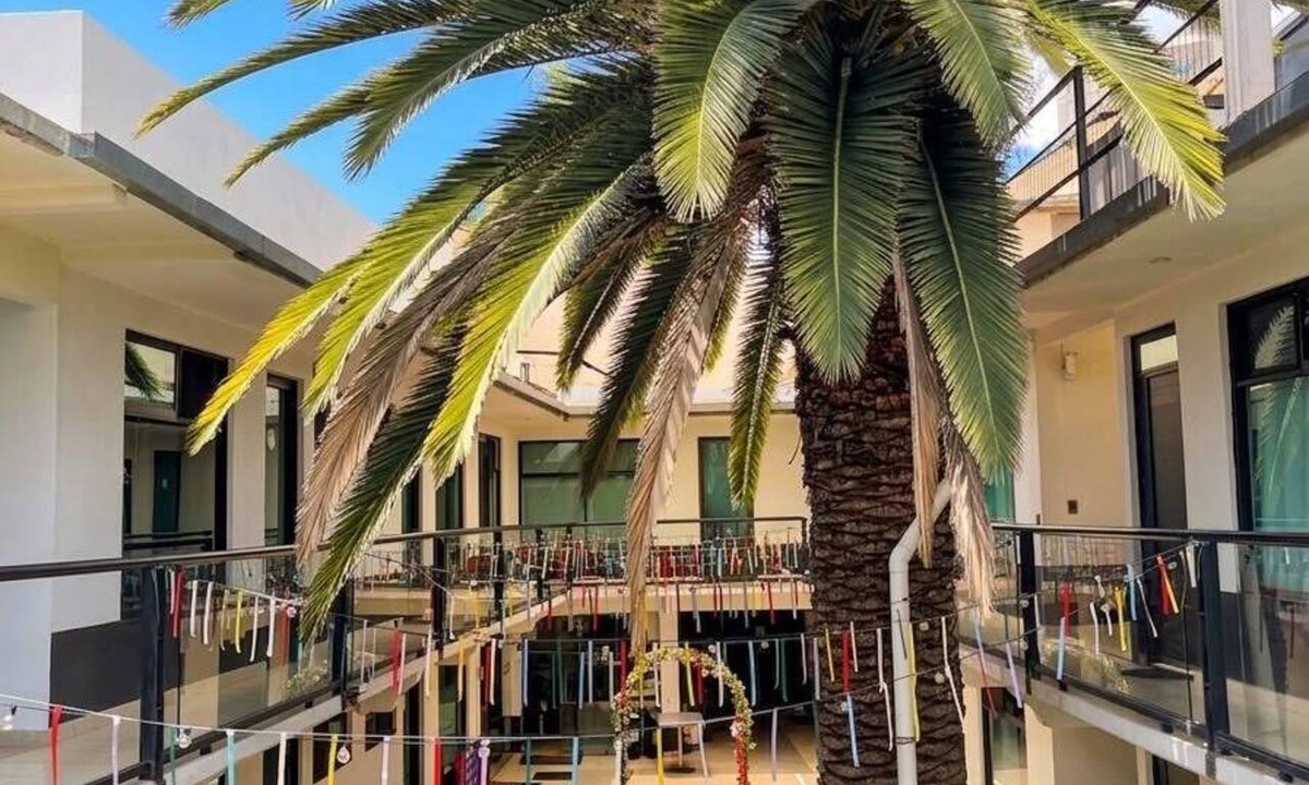 Tecamac House | La Palma Co-living